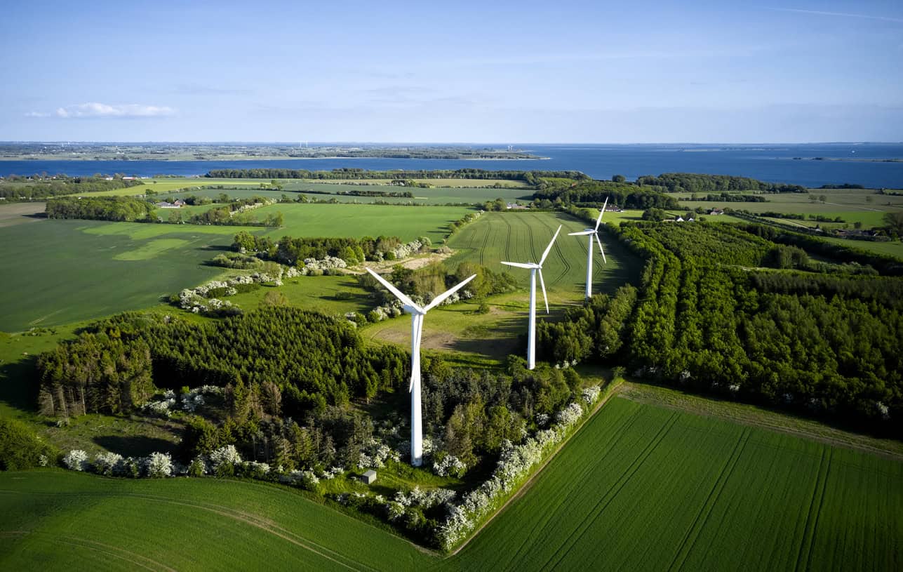 Agricultural field with wind turbine